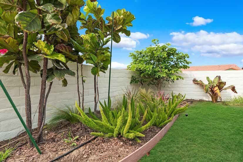 Landscape Design